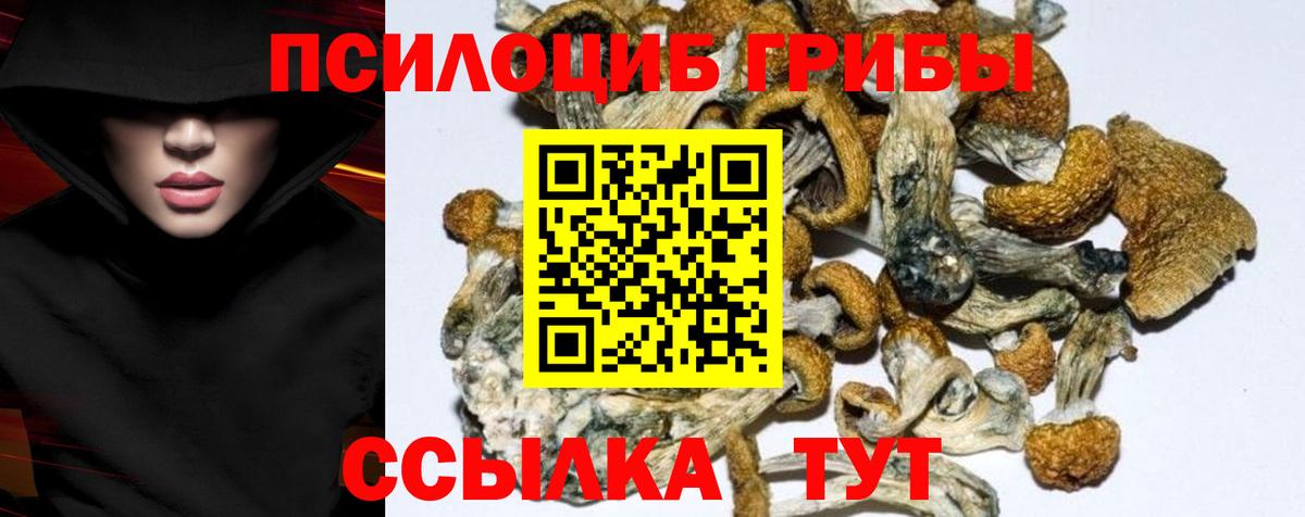 Каннабис  Строитель  КОКАИН  Меф  Меф   LSD-25  Вход с VPN  A PVP СК кристаллы  МДМА  МЕТАМФЕТАМИН  Гашиш 